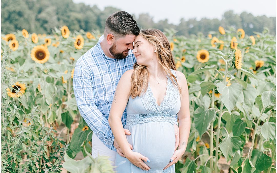 Sunflower Field Maternity Portraits | Fifer Orchards