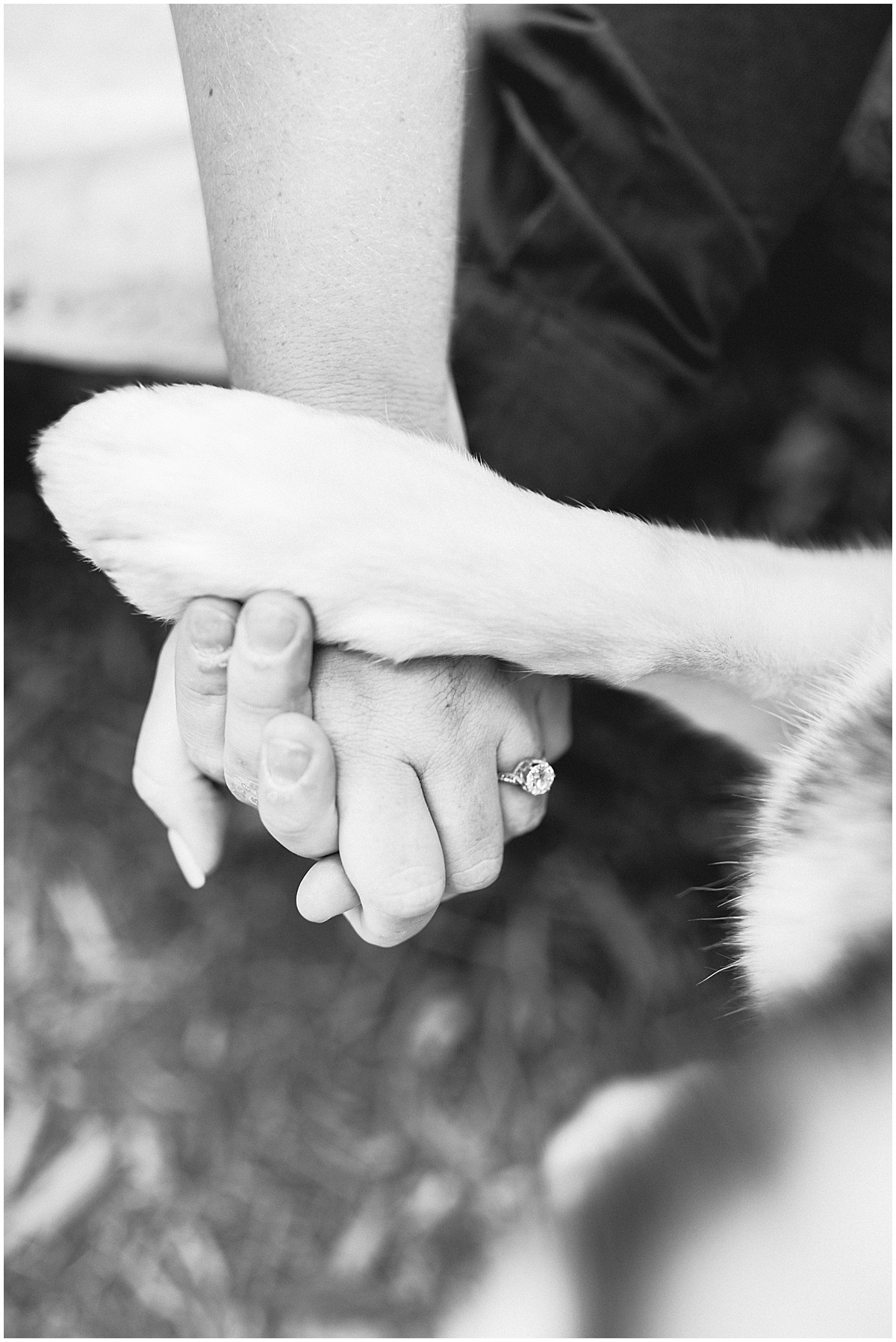 socal engagement portraits 