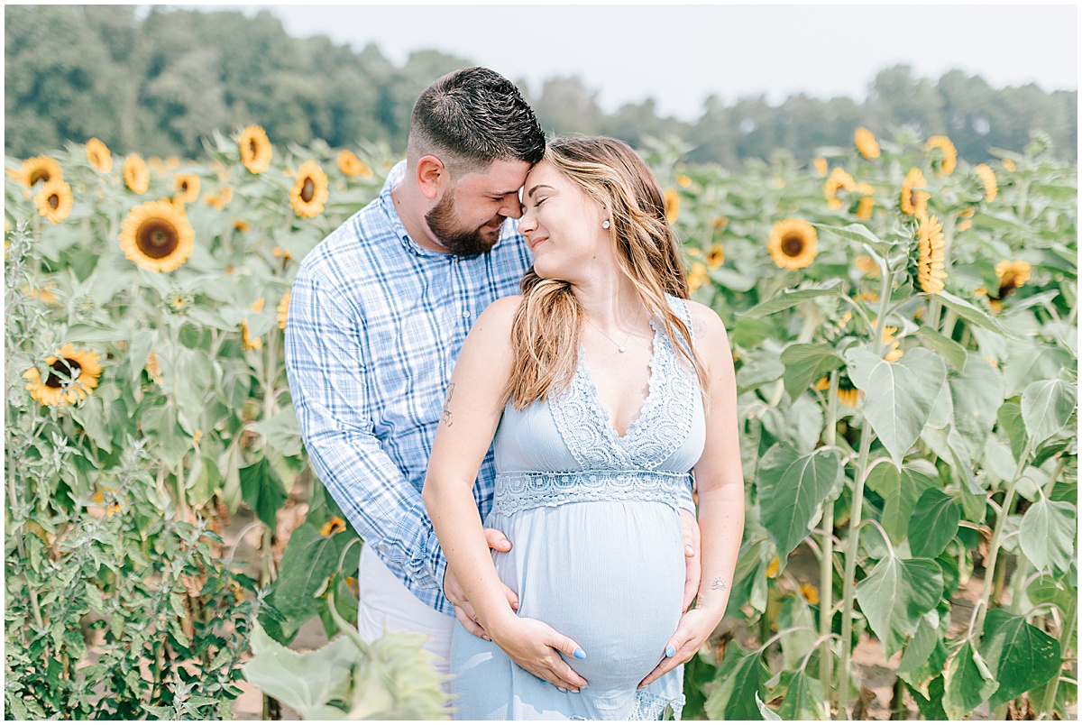 sunflower field maternity portraits