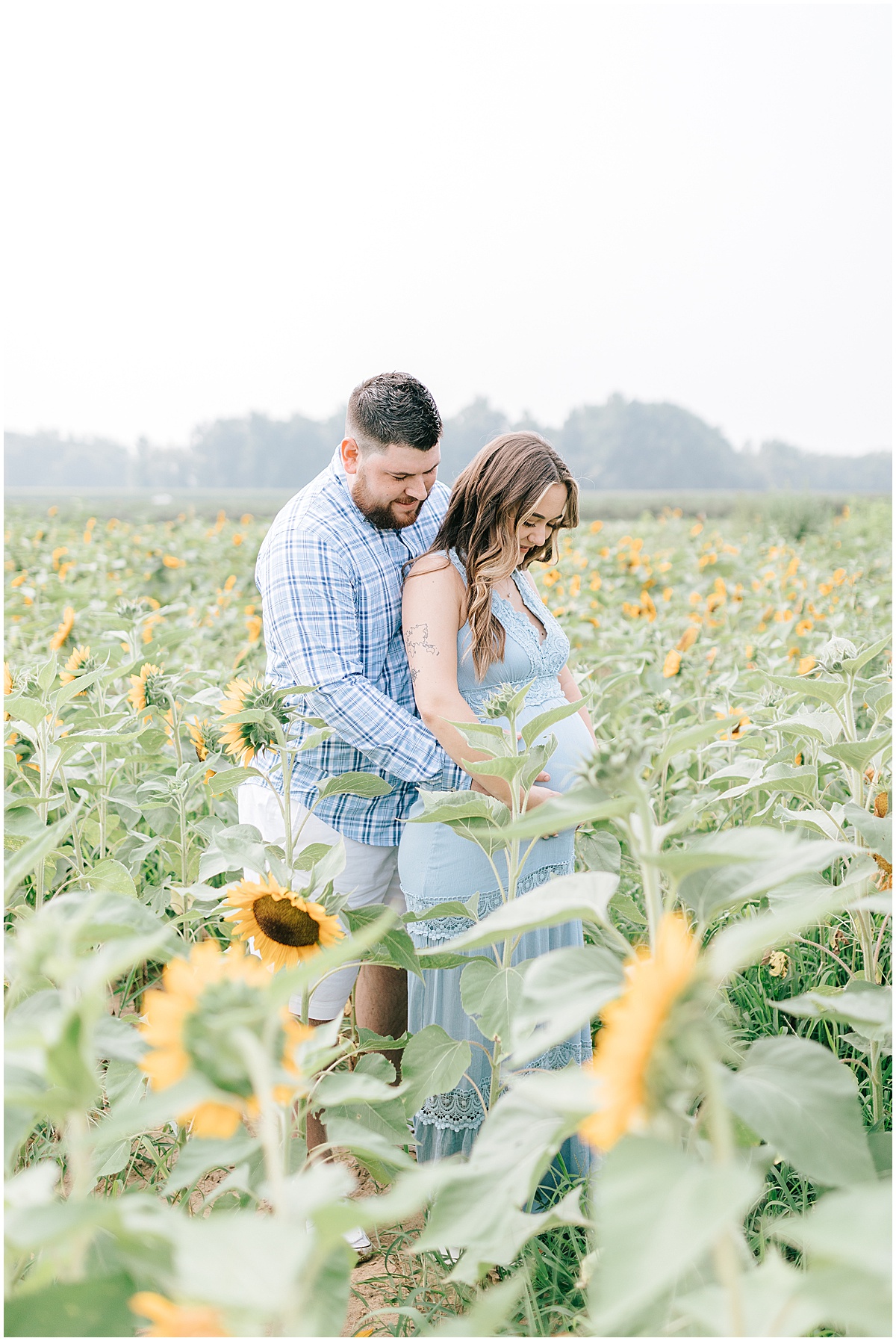 sunflower field maternity portraits