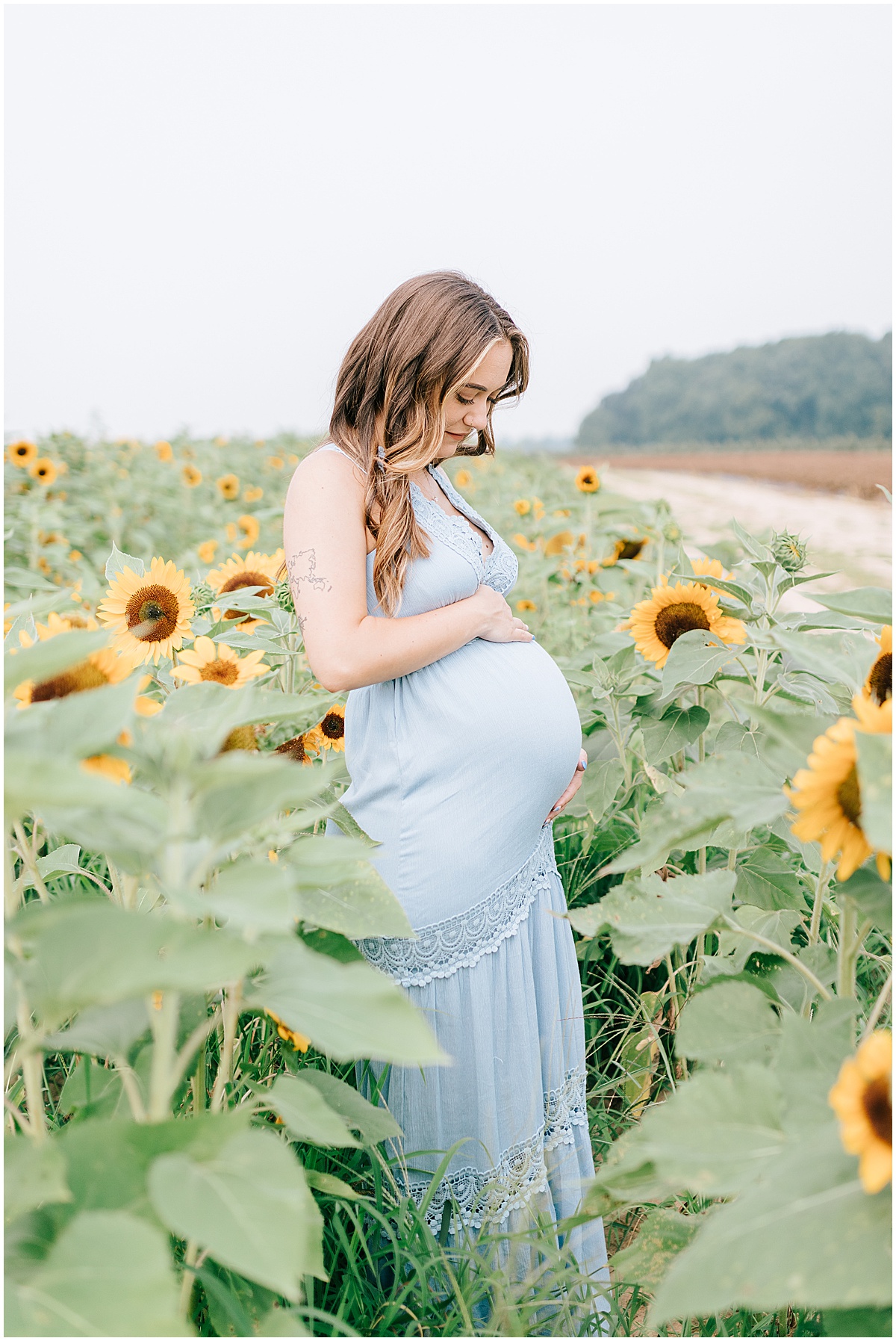 sunflower field maternity portraits