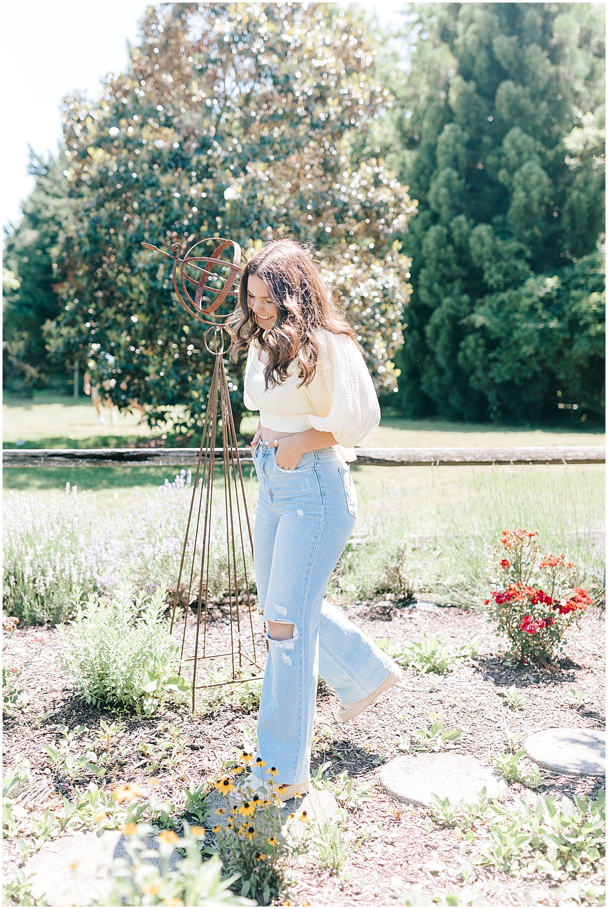 lavender fields senior portraits by liz Martinez creations 