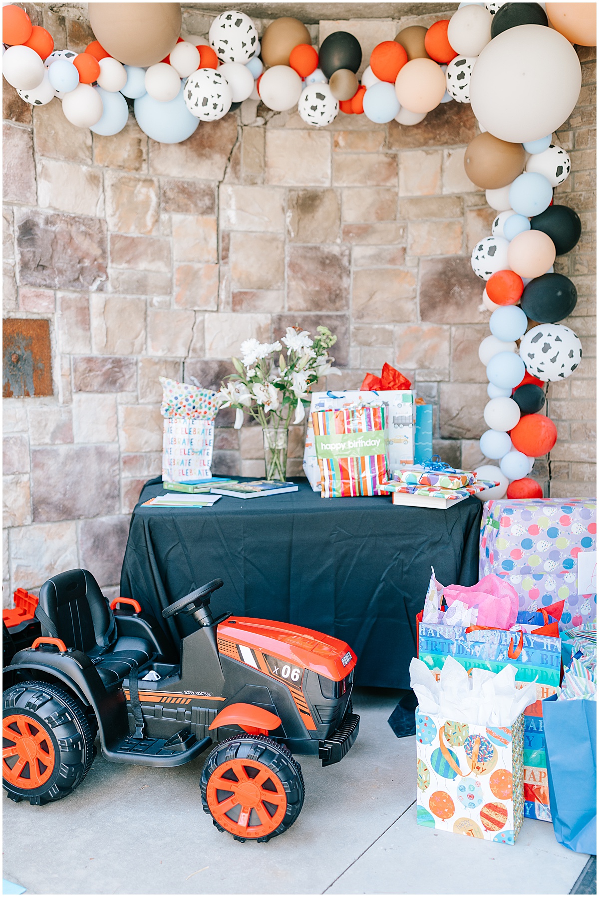 1st Rodeo Birthday Portraits for Arrow's birthday party in ubly Michigan