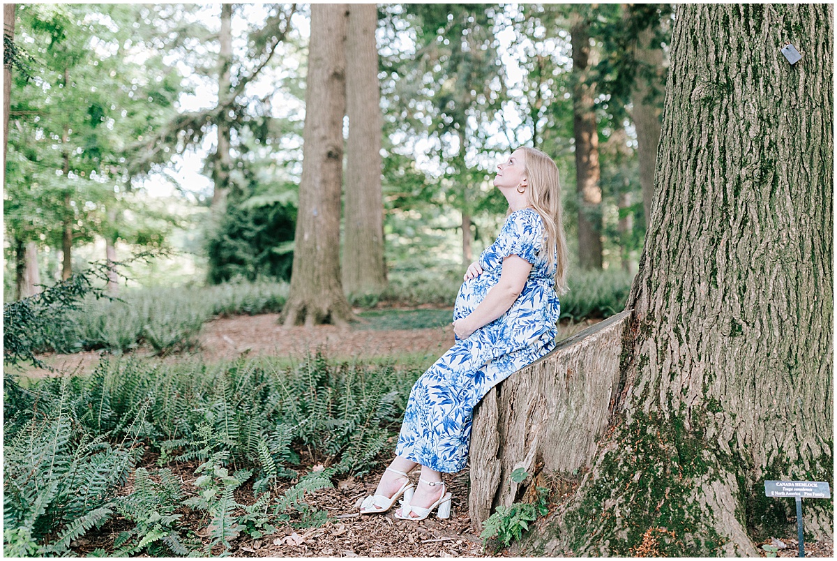 Longwood gardens maternity portraits